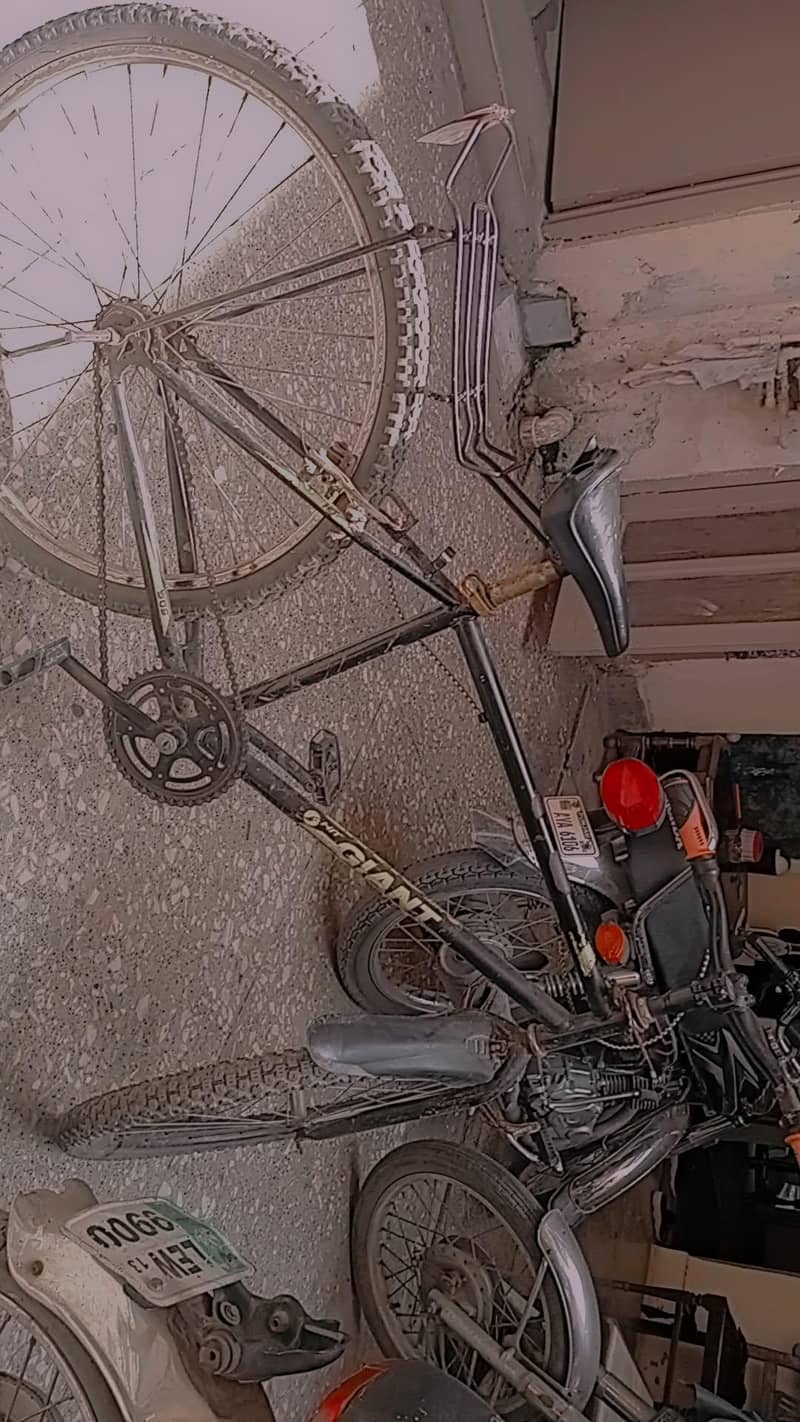giant cycle 1