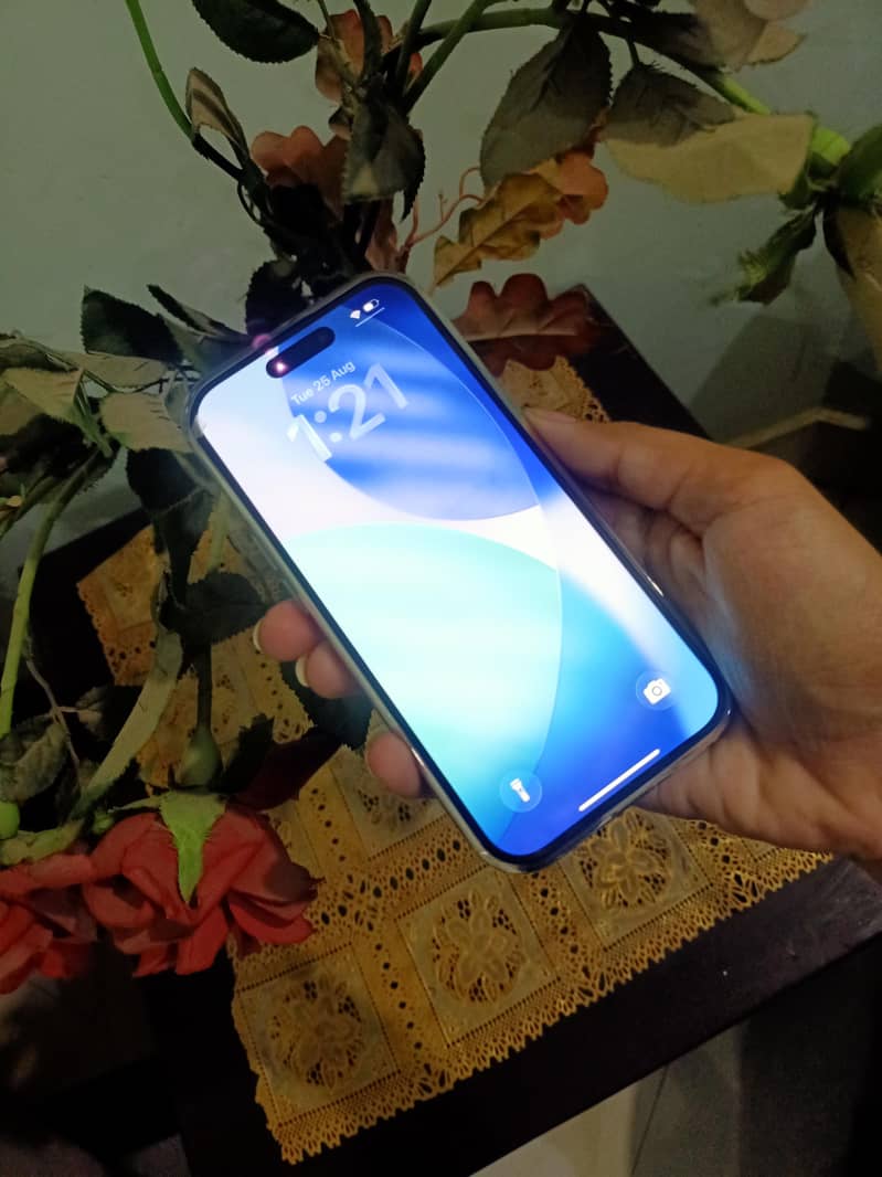 Apple iPhone 15 1