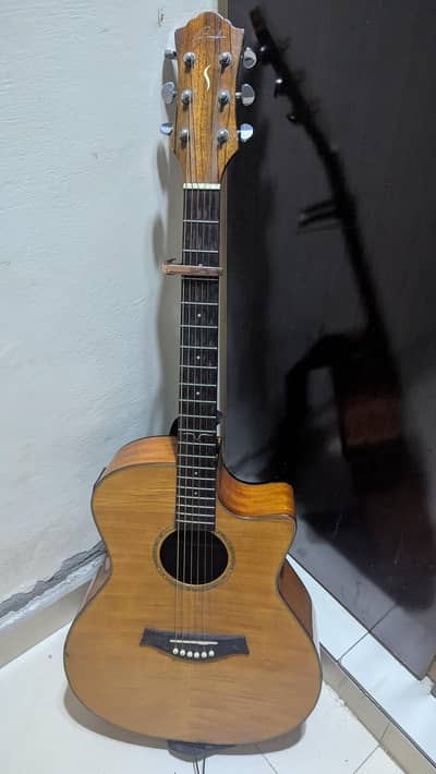 Ranch Flame Maple Top professional Guitar