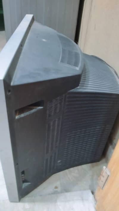 29"  LG   T. V