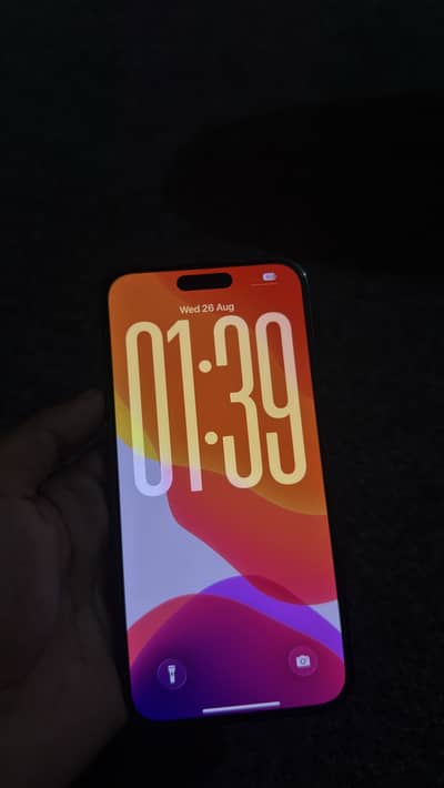 Apple iPhone 14 Pro Max MDM