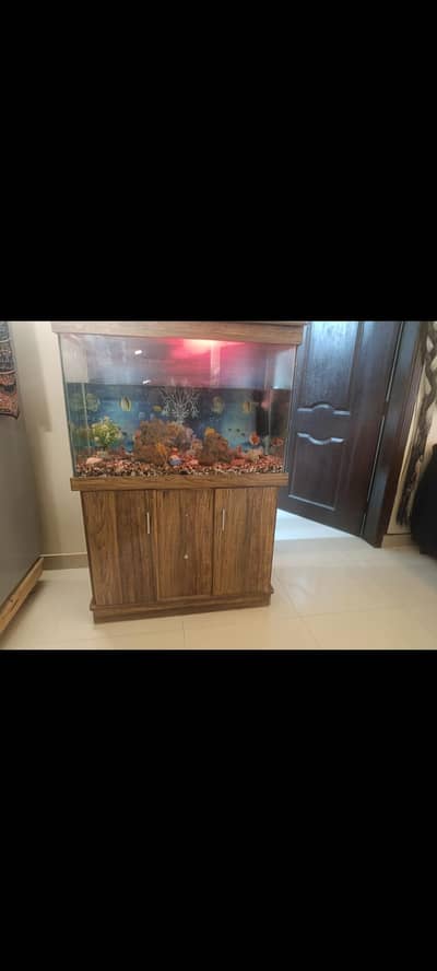 urgent sales