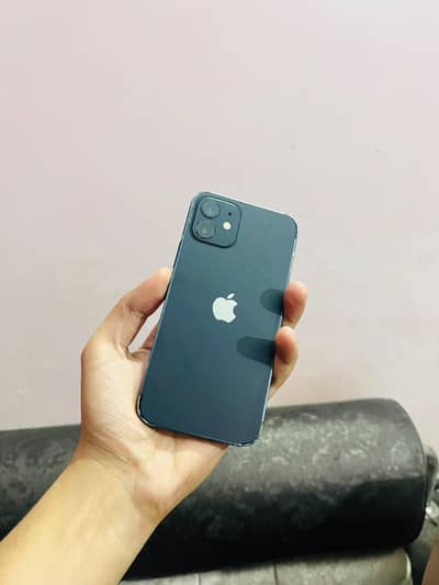 Apple iPhone 12