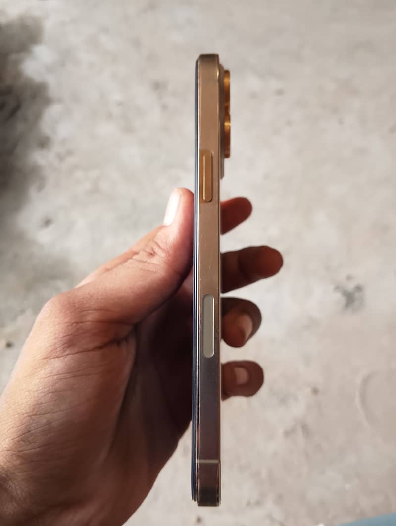 Apple iPhone 13 Pro Max 3