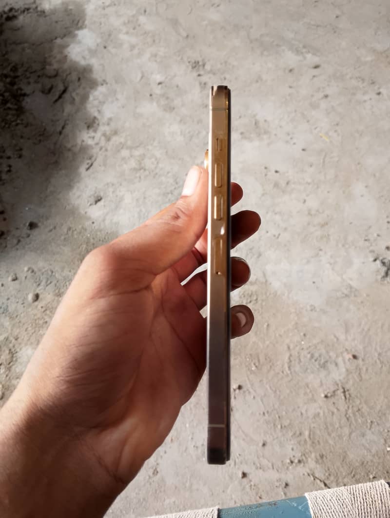Apple iPhone 13 Pro Max 5