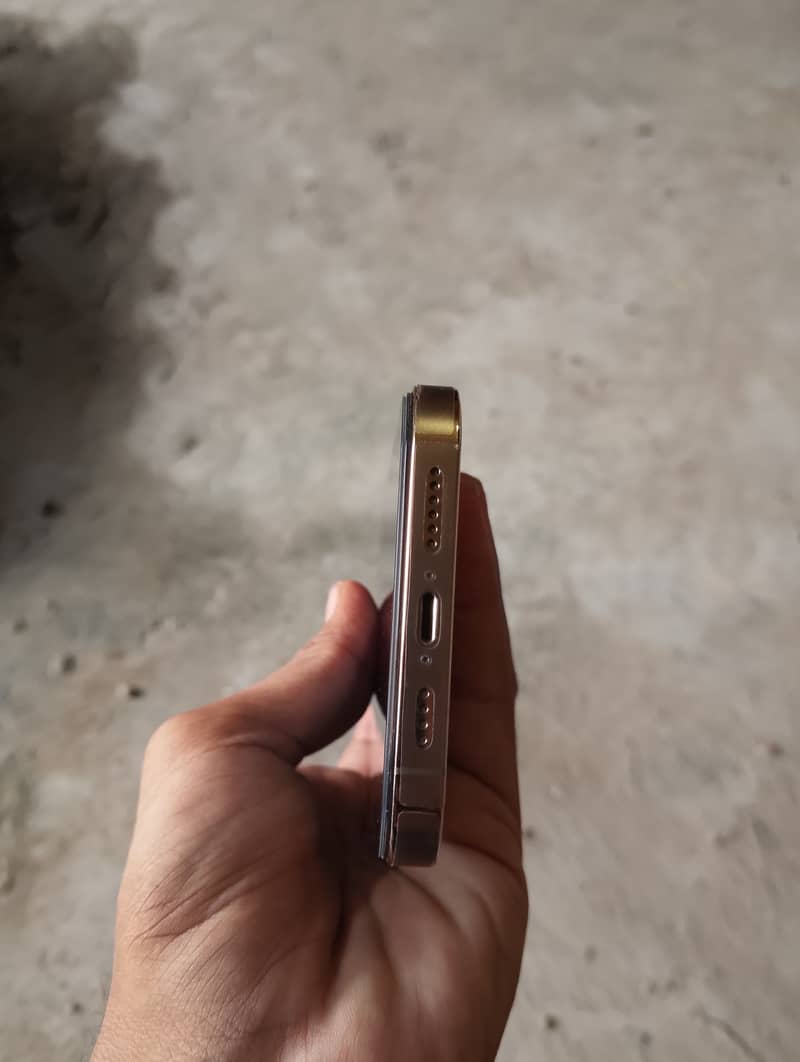 Apple iPhone 13 Pro Max 6