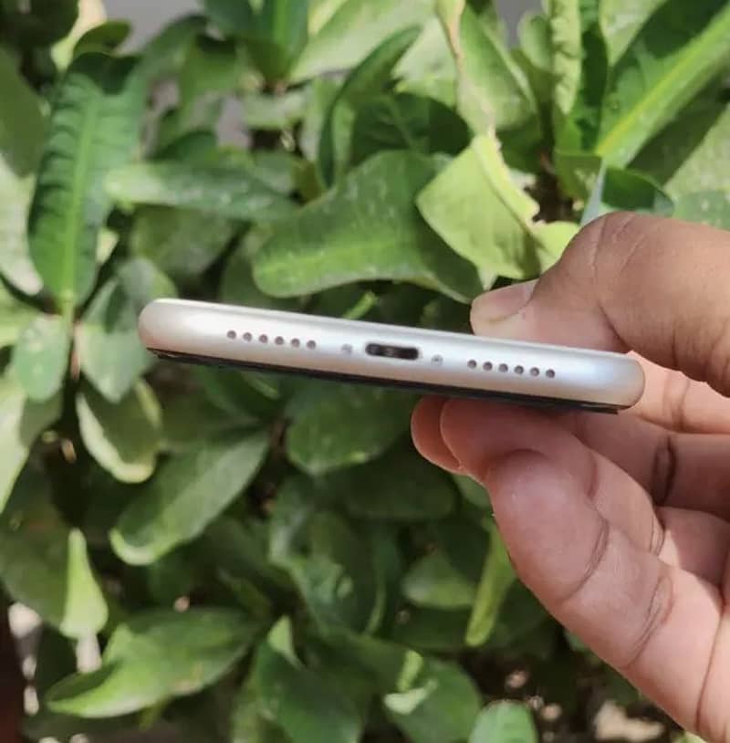 Apple iPhone 11 0