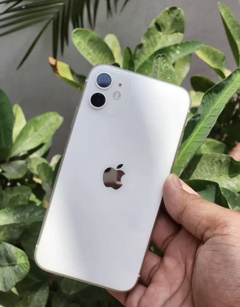 Apple iPhone 11 1