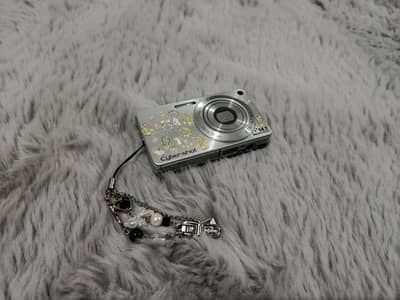 Digital camera / DigiCam