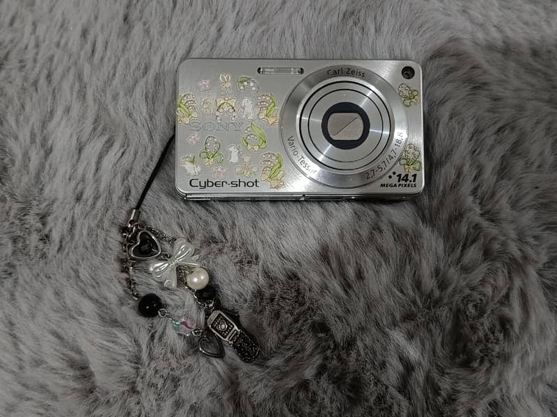 Digital camera / DigiCam 1