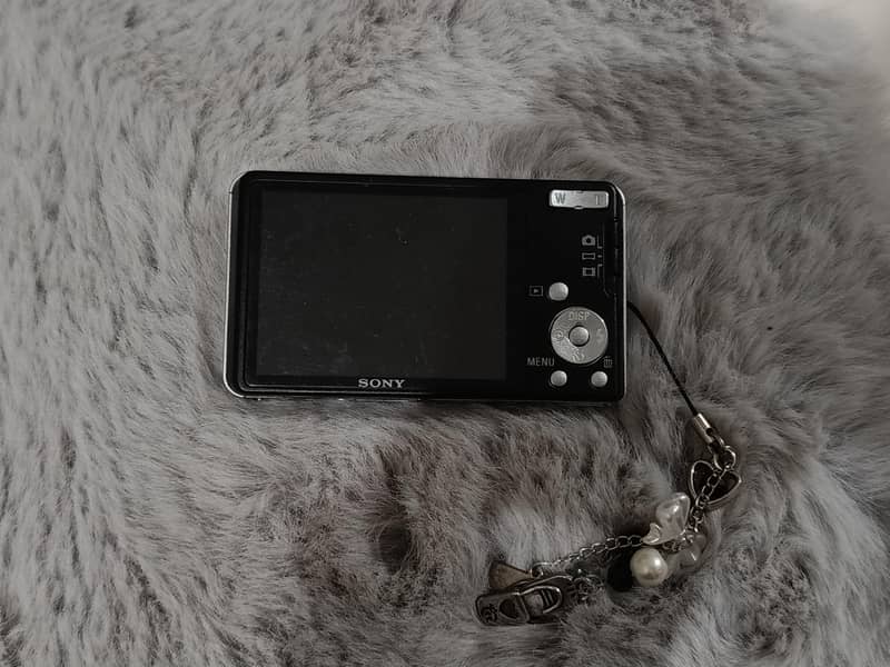Digital camera / DigiCam 3