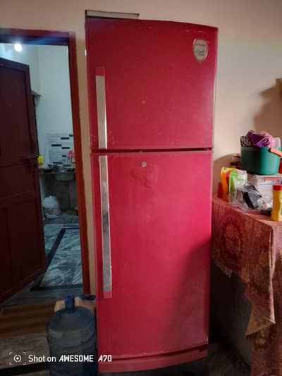 Singer Fridge – Excellent Condition