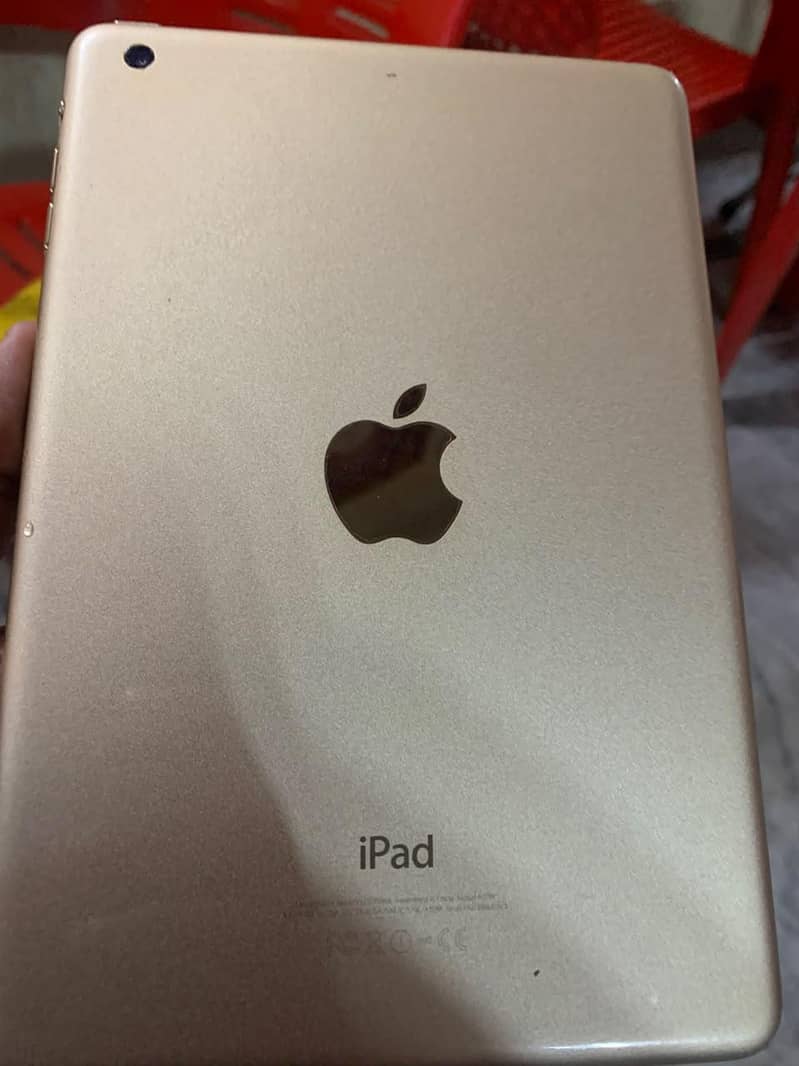 iPad mini 3 1