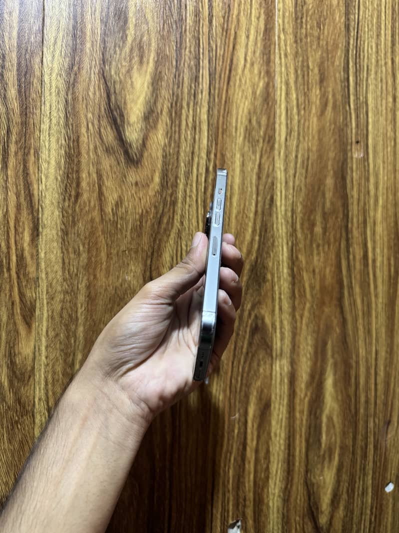 Apple iPhone 13 Pro 3