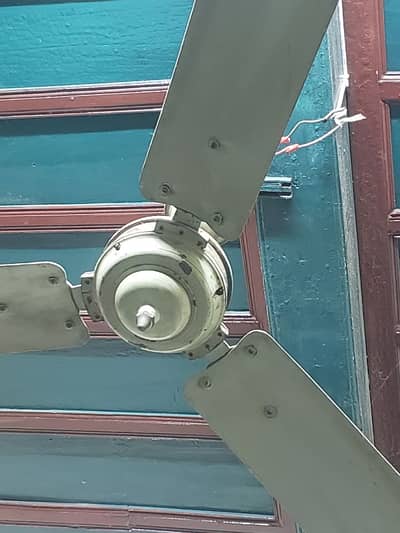 80 Year-Old IEW Antique Fan