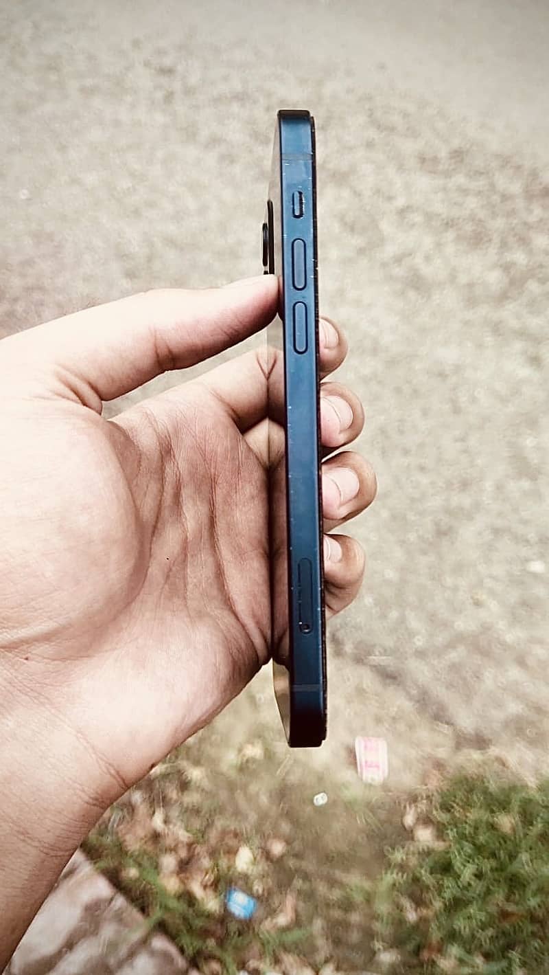 Apple iPhone 12 1