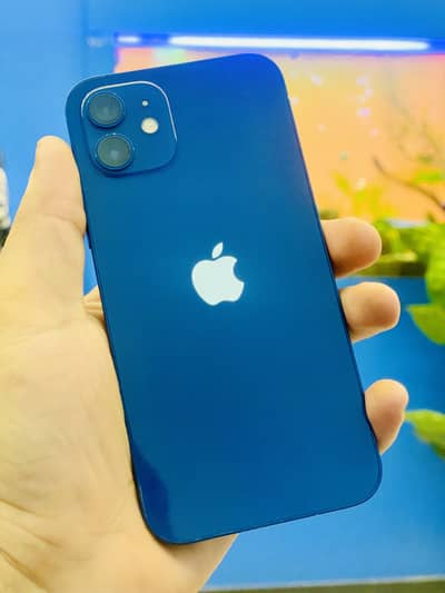 Apple iPhone 12