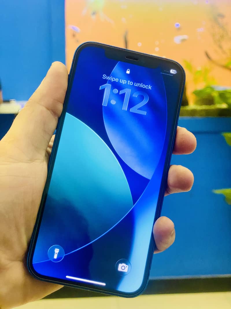 Apple iPhone 12 1