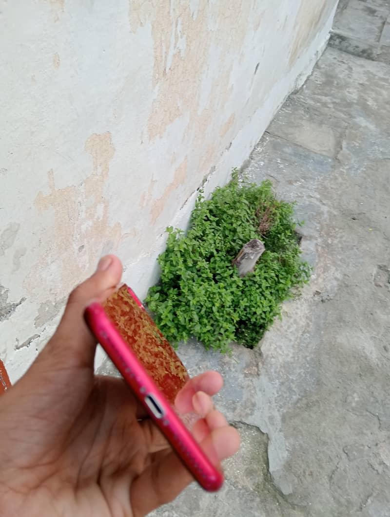 Apple iPhone 8 Plus 2