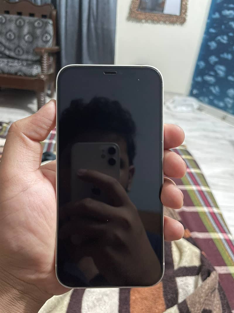 Apple iPhone 12 1