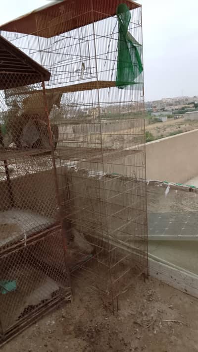 Assalamualaikum 2 bare Mazboot cages hai urgent sell karna hai