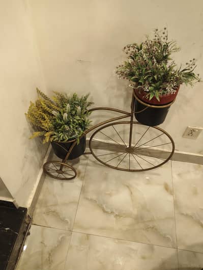 Unique flowering cycle stand