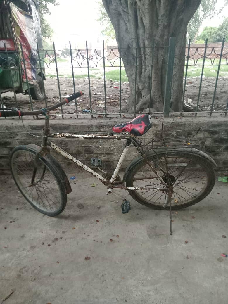 Bicycle  1