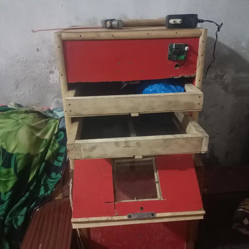 eggs incubatir ando sy chicks nikalny wali machine