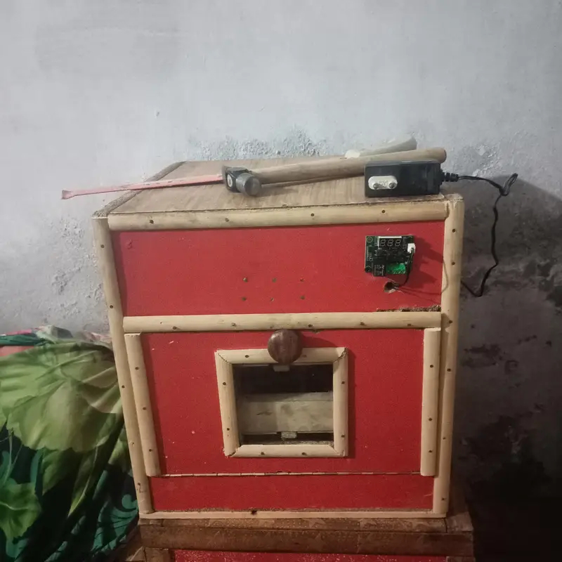 eggs incubatir ando sy chicks nikalny wali machine — photo 2