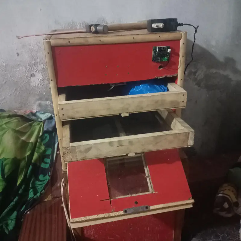 eggs incubatir ando sy chicks nikalny wali machine — photo 3