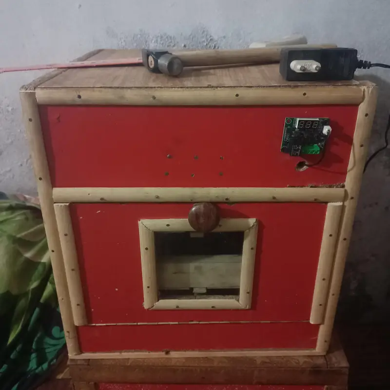 eggs incubatir ando sy chicks nikalny wali machine — photo 4