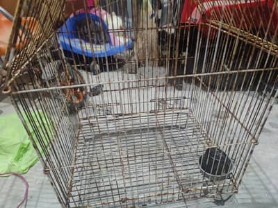 3 portion cage for sell & small cage for ssle