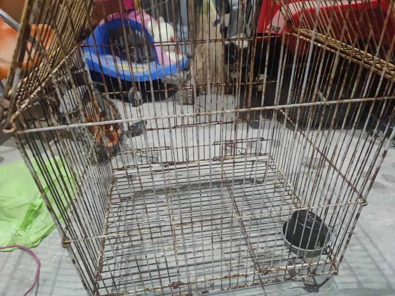 3 portion cage for sell & small cage for ssle — photo 5