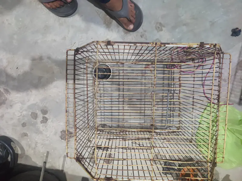 3 portion cage for sell & small cage for ssle — photo 6