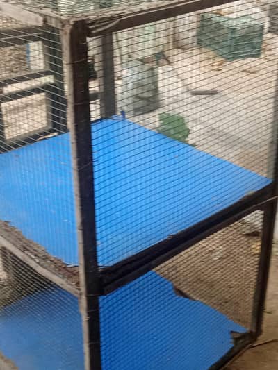 hen big cages for sale