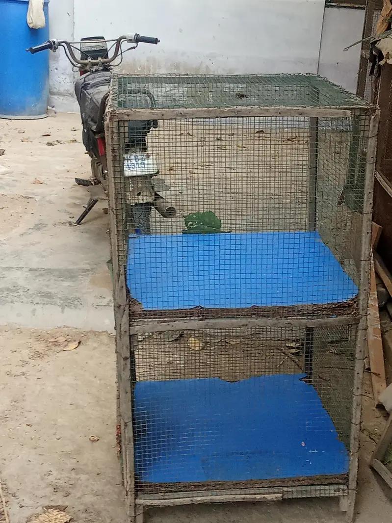 hen big cages for sale — photo 3