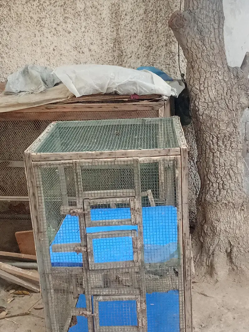 hen big cages for sale — photo 5