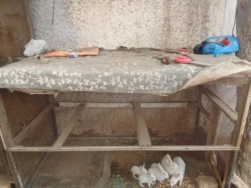 hen big cages for sale — photo 11
