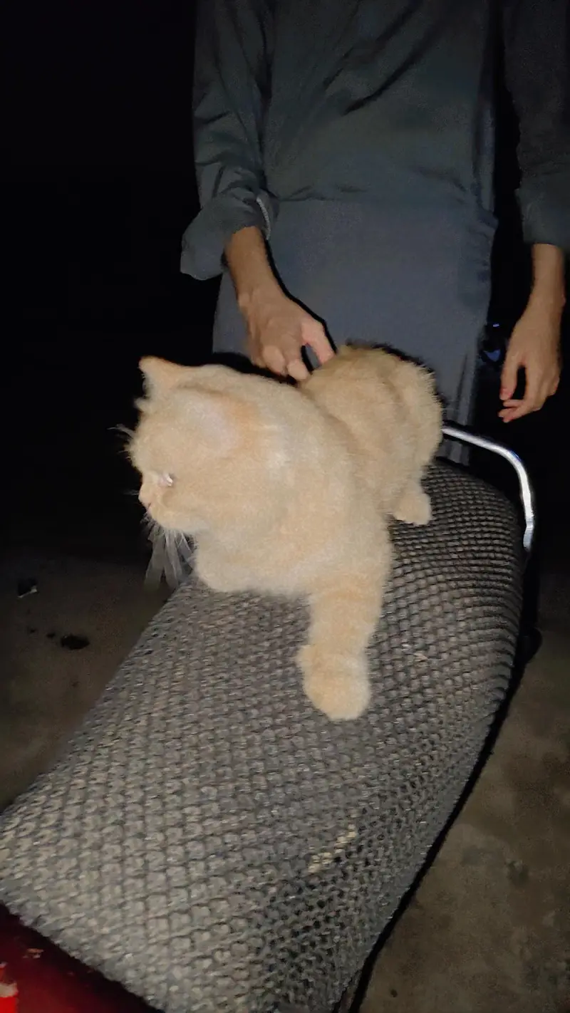 tomyyy — photo 2