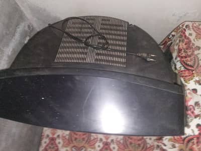 lg tv