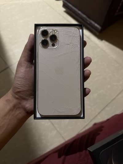 Apple iPhone 12 Pro Max