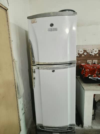 PEL Freezer Refrigeratior