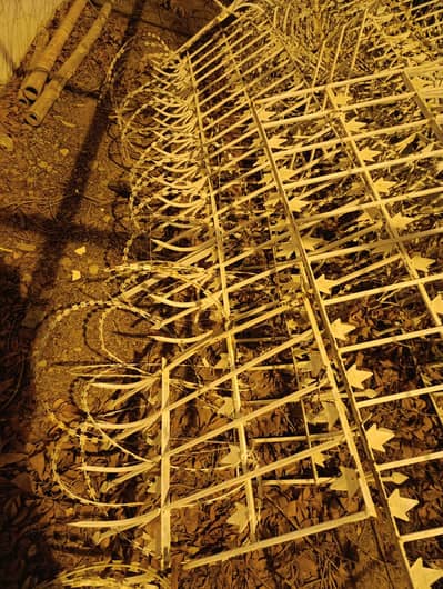 iron fence with blade wire