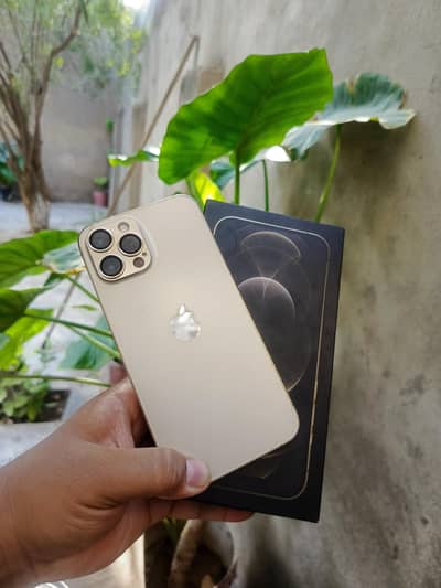 Apple iPhone 12 Pro Max