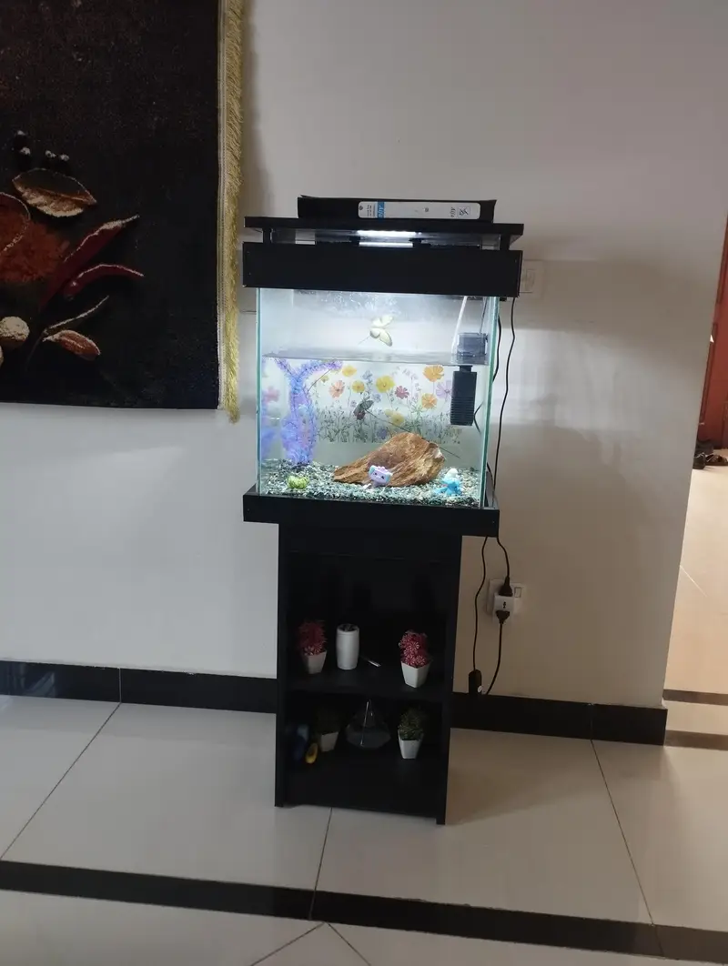 fish aquarium — photo 2
