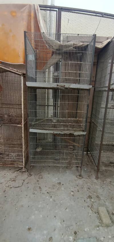 Cages avilable for sale