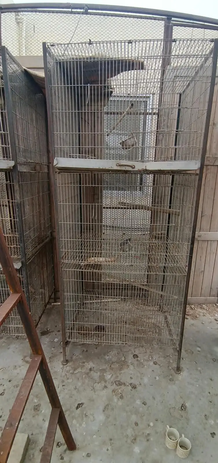 Cages avilable for sale — photo 5