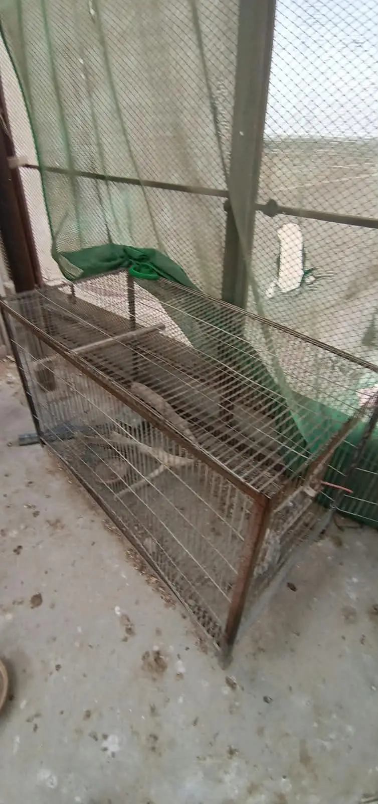 Cages avilable for sale — photo 6