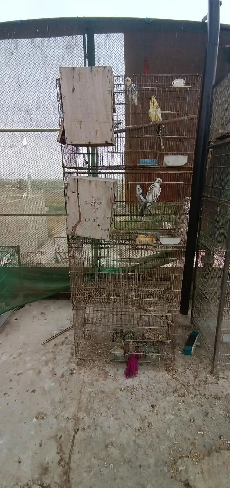 Cages avilable for sale — photo 7