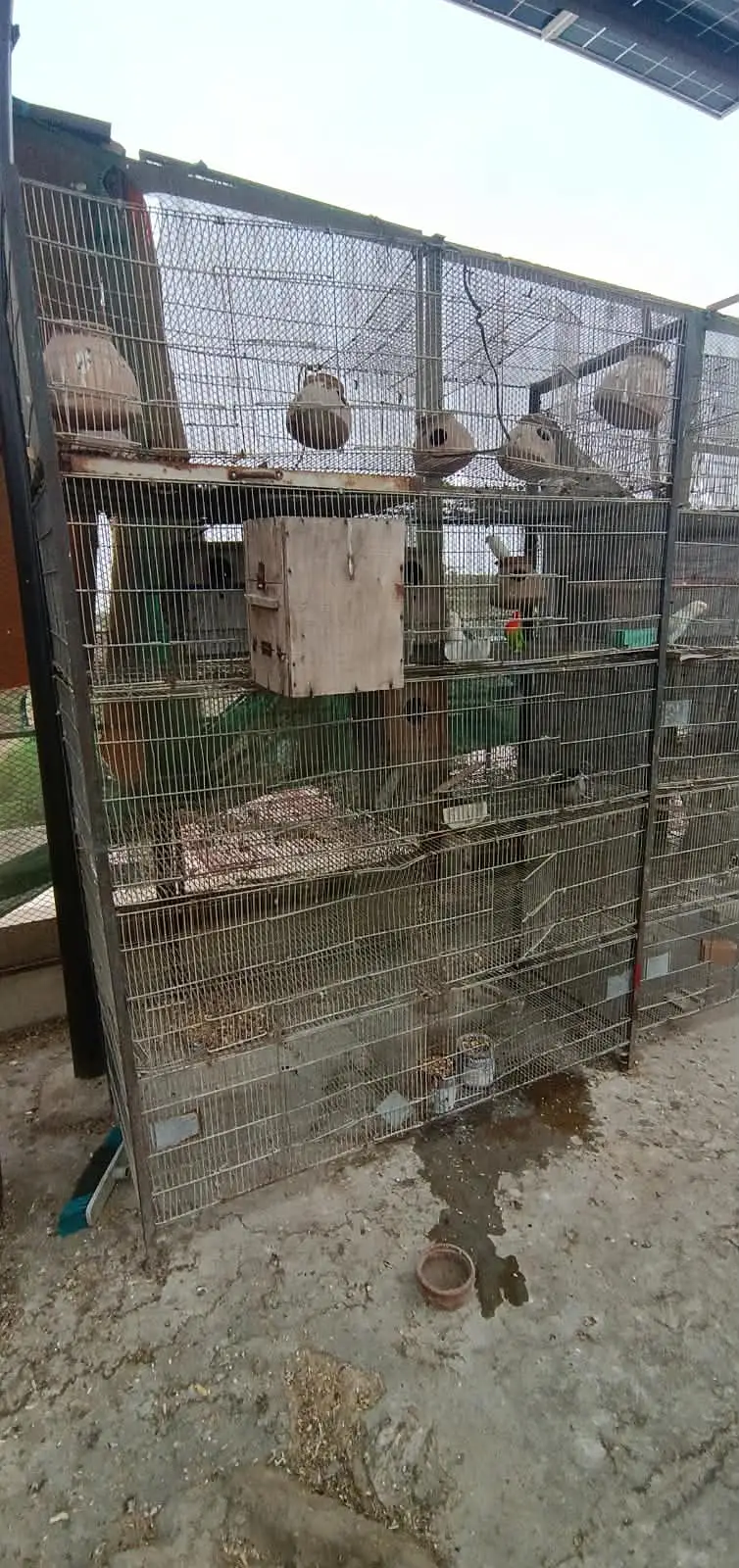 Cages avilable for sale — photo 8